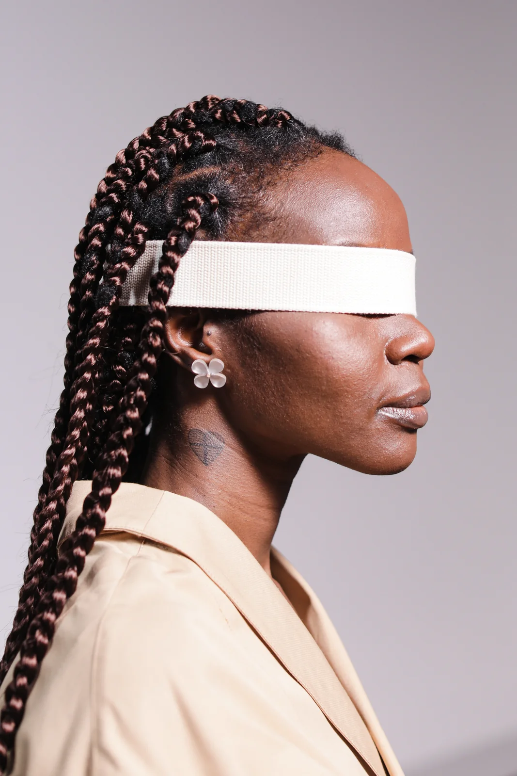 Sensation & Perception